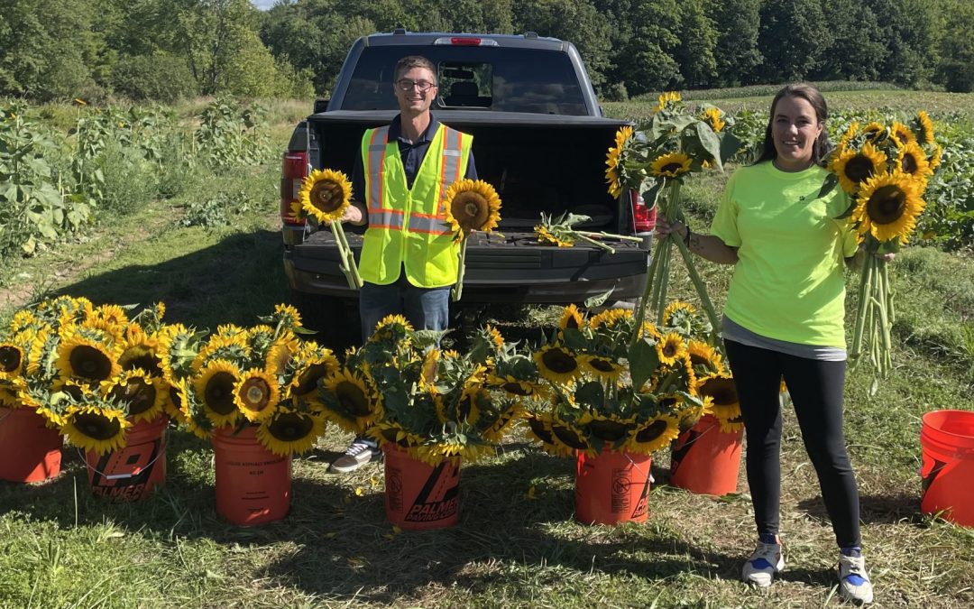 Spreading Smiles with Sunflowers Across Massachusetts